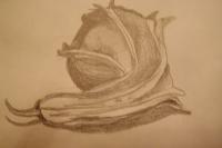 Still Life - Still Life - Graphite