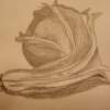 Still Life - Graphite Drawings - By Vidalia Dar, Realism Drawing Artist