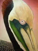 Pelican Peeking - Oil Paintings - By Scott Plaster, Impressionistic Painting Artist