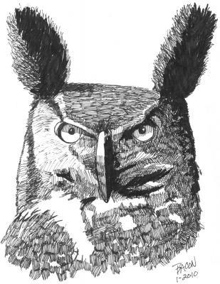 Wildlife Art - Great Horned Owl - Marker