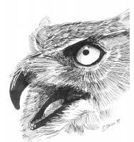 Great Horned Owl - Marker Drawings - By Bob Bacon, Line Art Drawing Artist