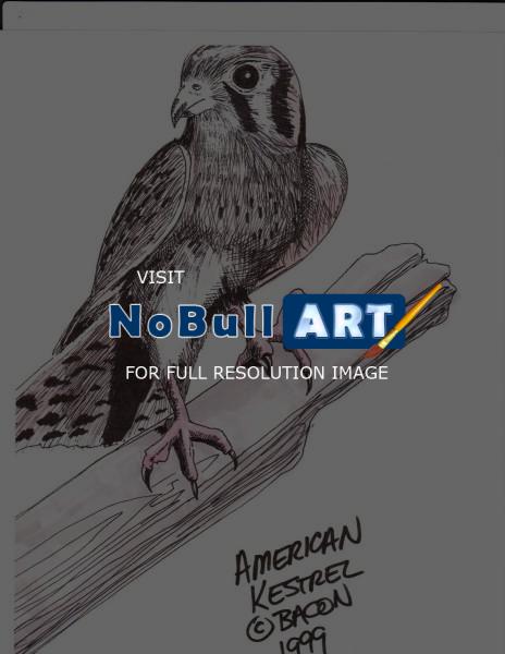 Wildlife Art - American Kestrel - Marker