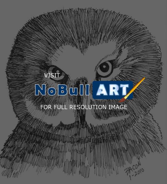 Wildlife Art - Barn Owl - Marker