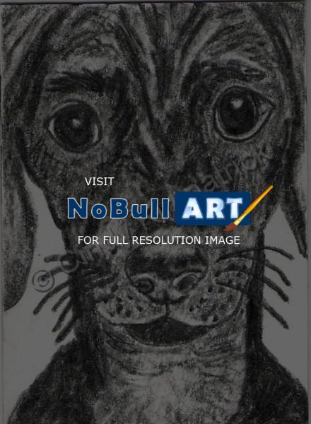 Animal Art Expressive - Cute Bugeyed Dog Original Aceo Sketch Card - Graphite Pencil