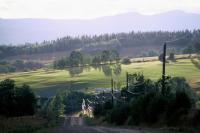 Bulkley Valley Scenes - Summer Evening Fields - Photo