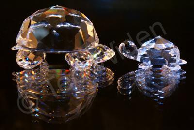 Artistic Photography - Crystal Turtles - Photo