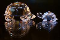 Crystal Turtles - Photo Photography - By Ted Widen, Artistic Macro Photography Artist