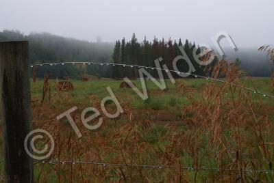 Rural Valley Close-Ups - Dew Drops On Fence - Photo