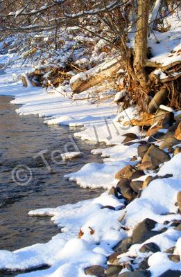 Rural Valley Close-Ups - Early Winter Canyon Creek - Photo