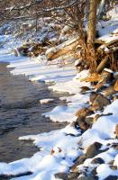 Early Winter Canyon Creek - Photo Photography - By Ted Widen, Outdoor Scenes Photography Artist