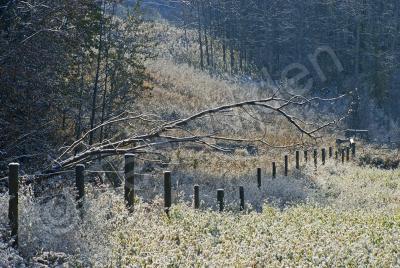 Bulkley Valley Scenes - First Snow Morning - Photo