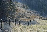 First Snow Morning - Photo Photography - By Ted Widen, Landscape Photography Photography Artist