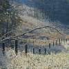 First Snow Morning - Photo Photography - By Ted Widen, Landscape Photography Photography Artist