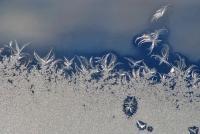 Artistic Photography - Frost Fairies On Window - Photo