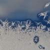 Frost Fairies On Window - Photo Photography - By Ted Widen, Artistic Macro Photography Artist