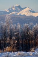 Bulkley Valley Scenes - Hazelton Mtns From Viewmont - Photo
