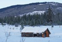 Bulkley Valley Scenes - Pioneer Cabin With Snow - Photo