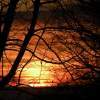 Setting Sun 2 - Digital Photography - By Derek Smith, Scenic Photography Artist