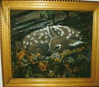 Fawn Waiting For Momma - Oil On Canvas Paintings - By Joanne Knox, Originals Painting Artist