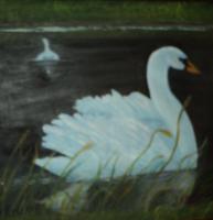 Swan - Oil On Canvas Paintings - By Joanne Knox, Originals Painting Artist