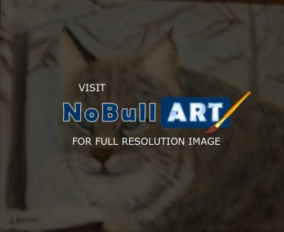2016 - Bob Cat - Oil On Canvas