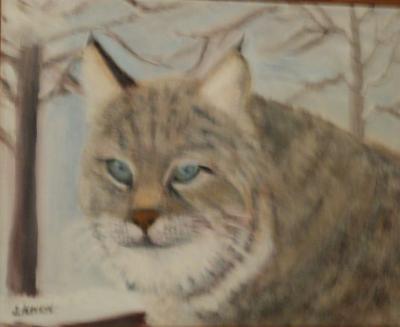 2016 - Bob Cat - Oil On Canvas