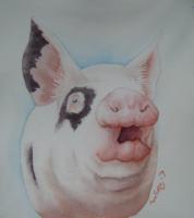 Pigaro - Watercolor Paintings - By Kathryn Ragan, Realistic Contemporary Painting Artist