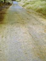 Old Road - Digital Photography - By Tamara Johnson, Digital Photography Photography Artist