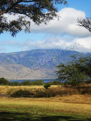 Expressive Landscapes - Before The Windmills And Neighborhood View - Digital