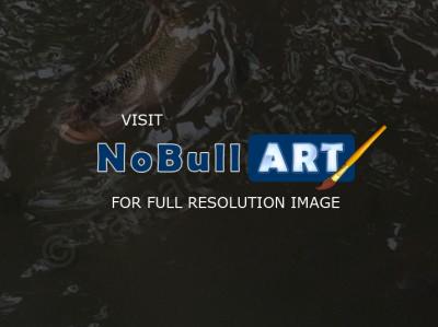 Expressive Landscapes - Koi Pond - Digital