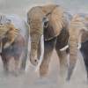 The Family - Oil Paintings - By Andy Davis, Realism Painting Artist