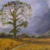 Rooks Haven - Oil Paintings - By Andy Davis, Impressionism Painting Artist