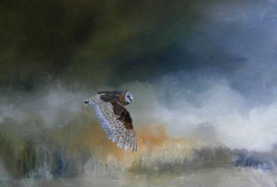 Realism - Barn Owl In Flight - Oil