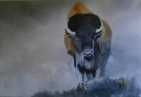 Realism - Bison - Oil