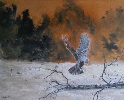 Realism - Jackdaw - Oil