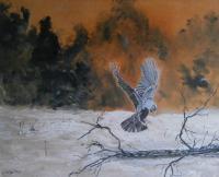 Realism - Jackdaw - Oil