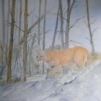 Realism - Cougar - Oil