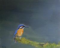 Kingfisher - Oil Paintings - By Andy Davis, Realism Painting Artist