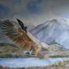 Sky Drama - Oil Paintings - By Andy Davis, Realism Painting Artist