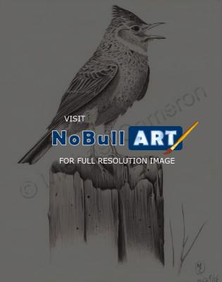 Animals - Bird On A Post - Pen