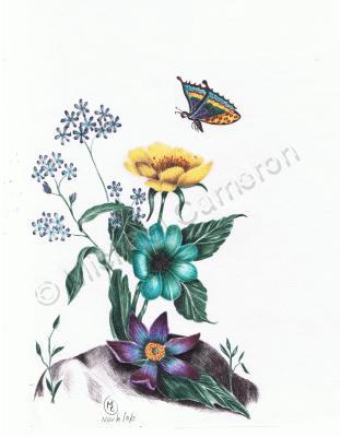 Other - Butterfly In Spring - Pen