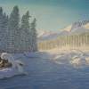 Winter In Wyoming - Oil On Canvas Paintings - By Qiufen Wei Marmo, Realism Painting Artist