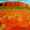 Uluru Australia - Acrylic On Canvas Paintings - By Qiufen Wei Marmo, Realism Painting Artist
