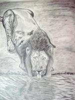 The King - Pencil And Paper Drawings - By Shweta Gwalani, Sketching Drawing Artist