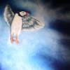 Angelic Puffin - Oil On Canvas Paintings - By Gwendolyn Fleming, Expression Painting Artist
