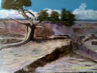 The Ancient One - Acrylic Paintings - By Sam Mcilwain, Realism Painting Artist