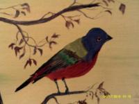 Painted  Bunting - Acrylic Paintings - By Sam Mcilwain, Realism Painting Artist
