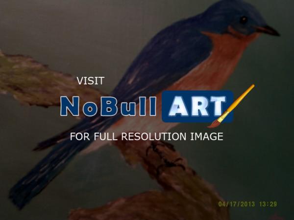 Animal Art - Eastern Blue Bird - Acrylic