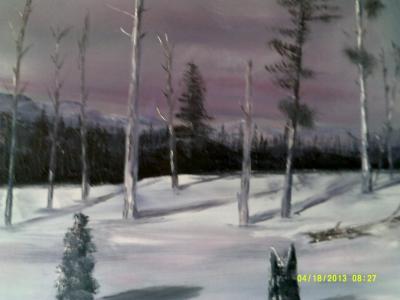 Landscape - Winter Atop Mt Mitchell Nc - Acrylic