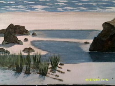 Seascape - Tide Pools - Acrylic